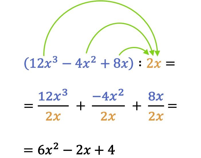 divisione di un polinomio per un monomio