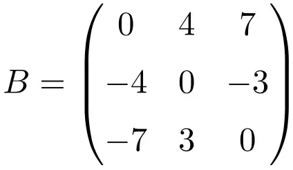 esempio di matrice antisimmetrica di dimensione 3x3