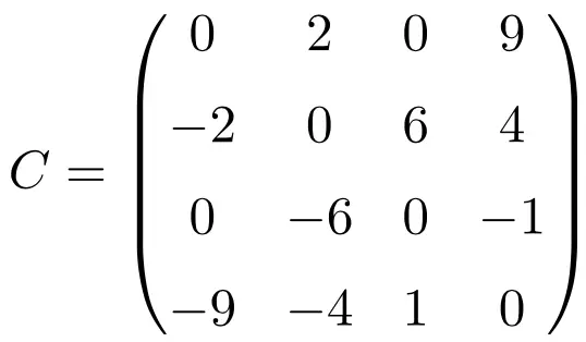 4x4 维反对称矩阵的示例