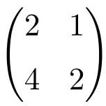 exemplo de uma matriz singular ou degenerada de dimensão 2x2