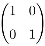 identità unica o matrice di dimensione 2x2
