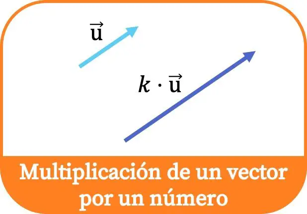 Multiplication d'un vecteur par un nombre