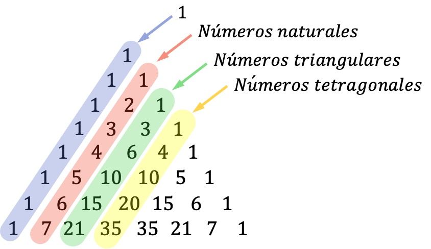 塔塔利亚三角形或帕斯卡三角形和四边形数