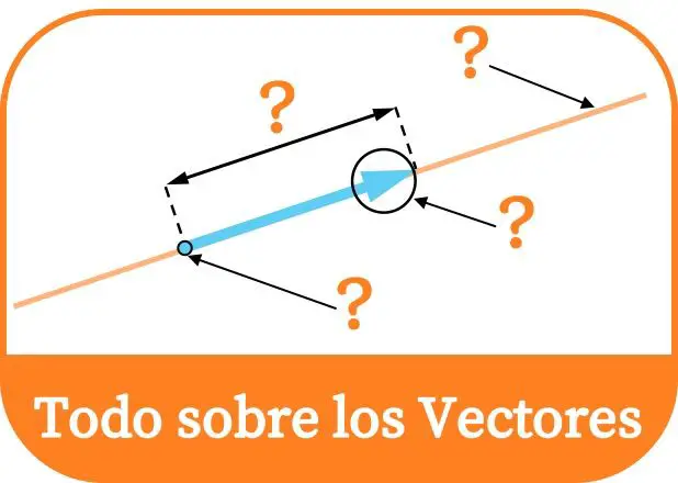 apa itu vektor?