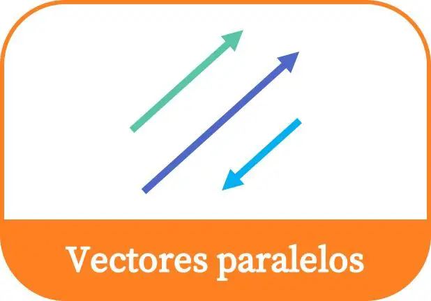 Vecteurs parallèles